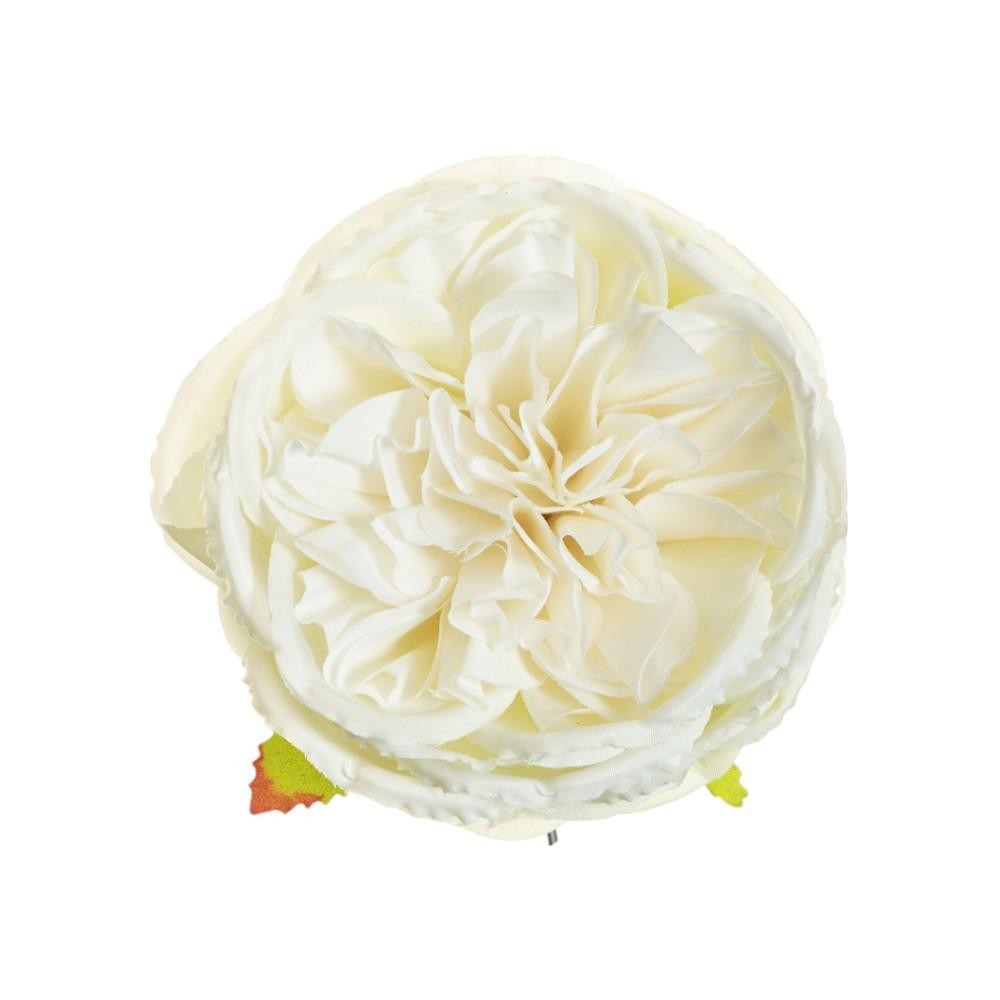 PICK ROSA AUSTIN D10 H5 CREAM